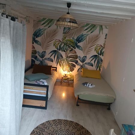 Apartamento Le Logis De La Rue Des Arts Blois Exterior foto