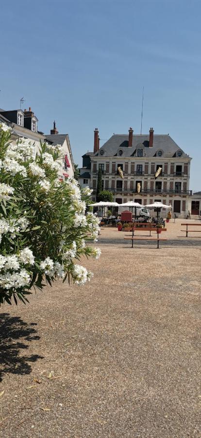 Apartamento Le Logis De La Rue Des Arts Blois Exterior foto